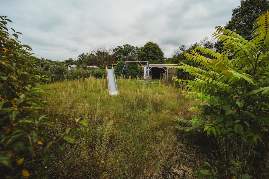 Jardin envahi par les herbes avant remise en état